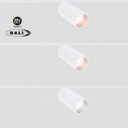 Magnetic track LED spotlight - 48V - 20W - DALI-2 dimmable CCT -  White [1]