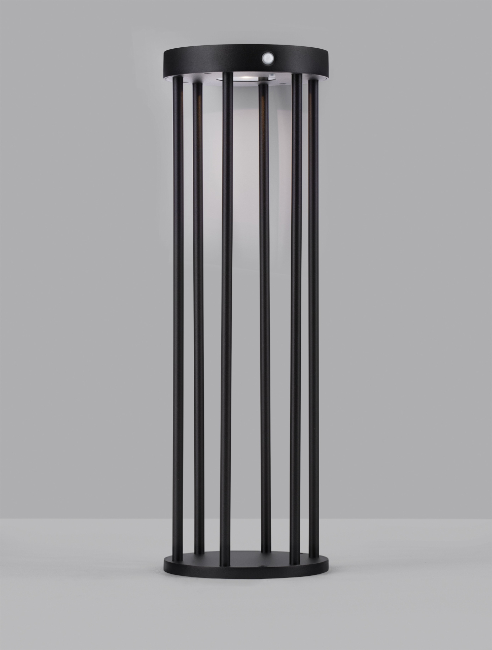 AIGO [3]