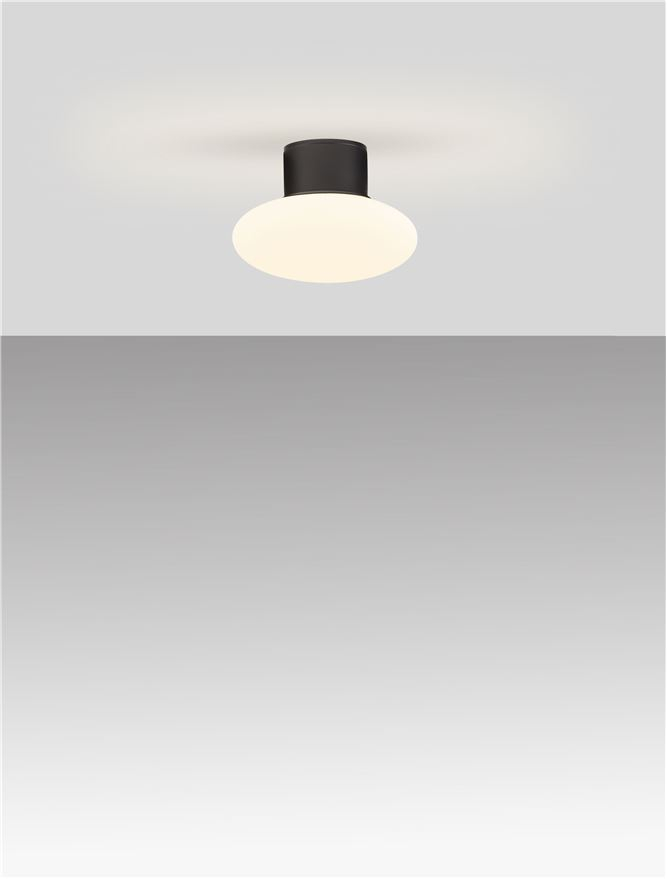 ALI aplica exterioara LED 9971456 [8]