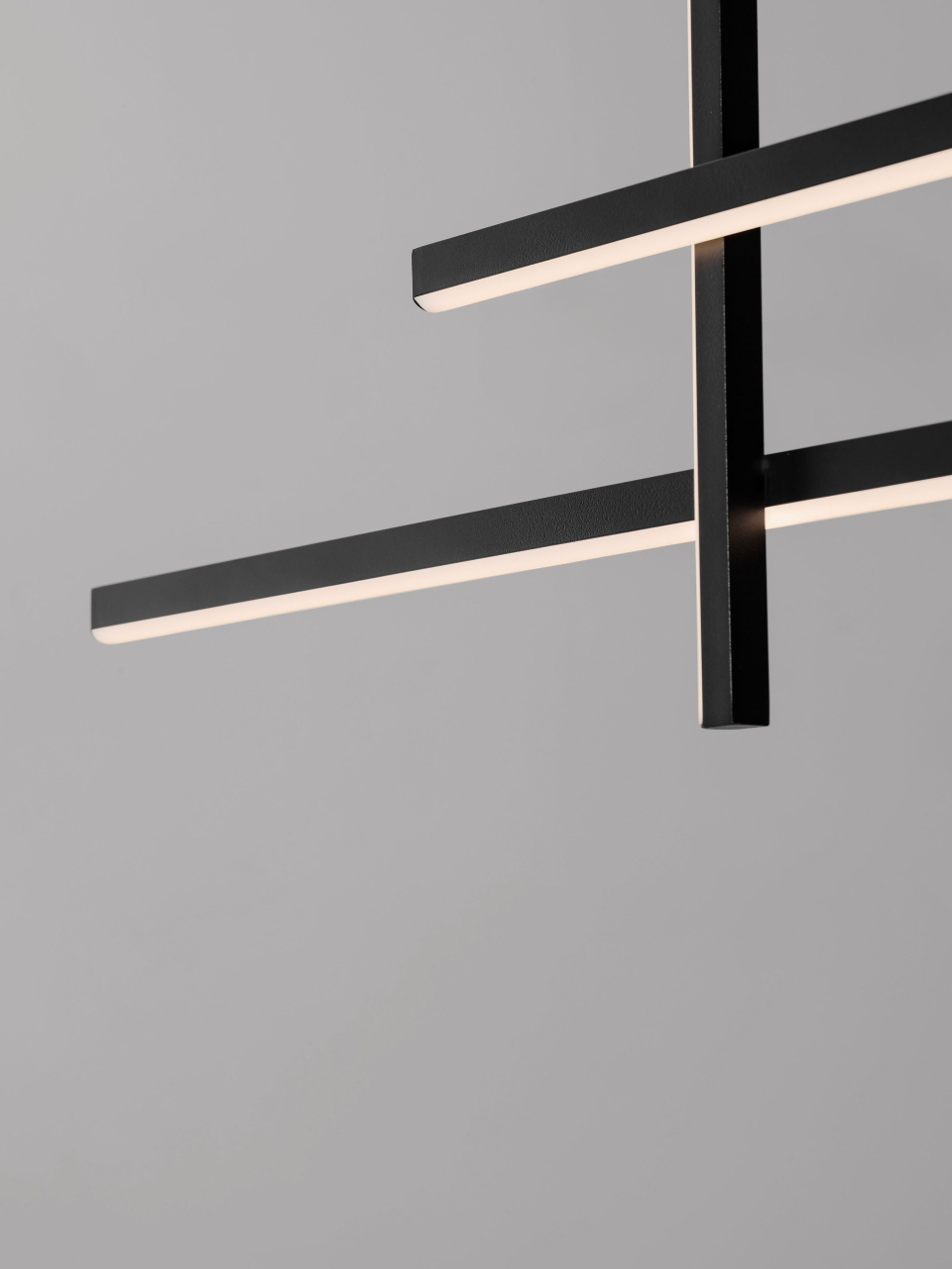 ANTAMA [5]