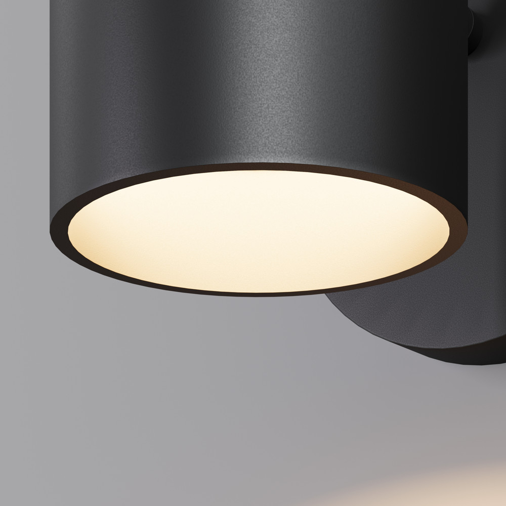 Aplică de exterior Maytoni Flora O178WL-L6BK [2]