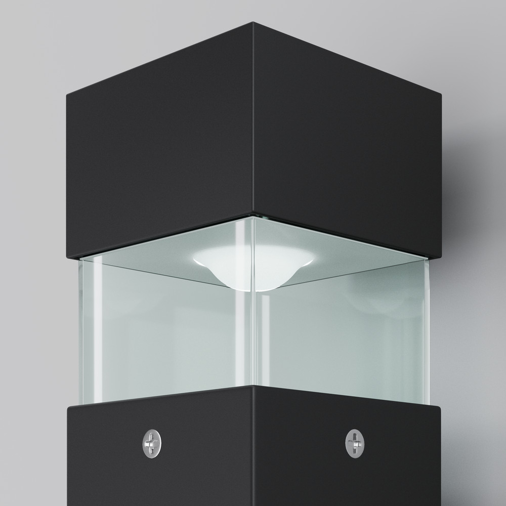 Aplică de exterior Maytoni Quadra O143WL-L8BK [2]