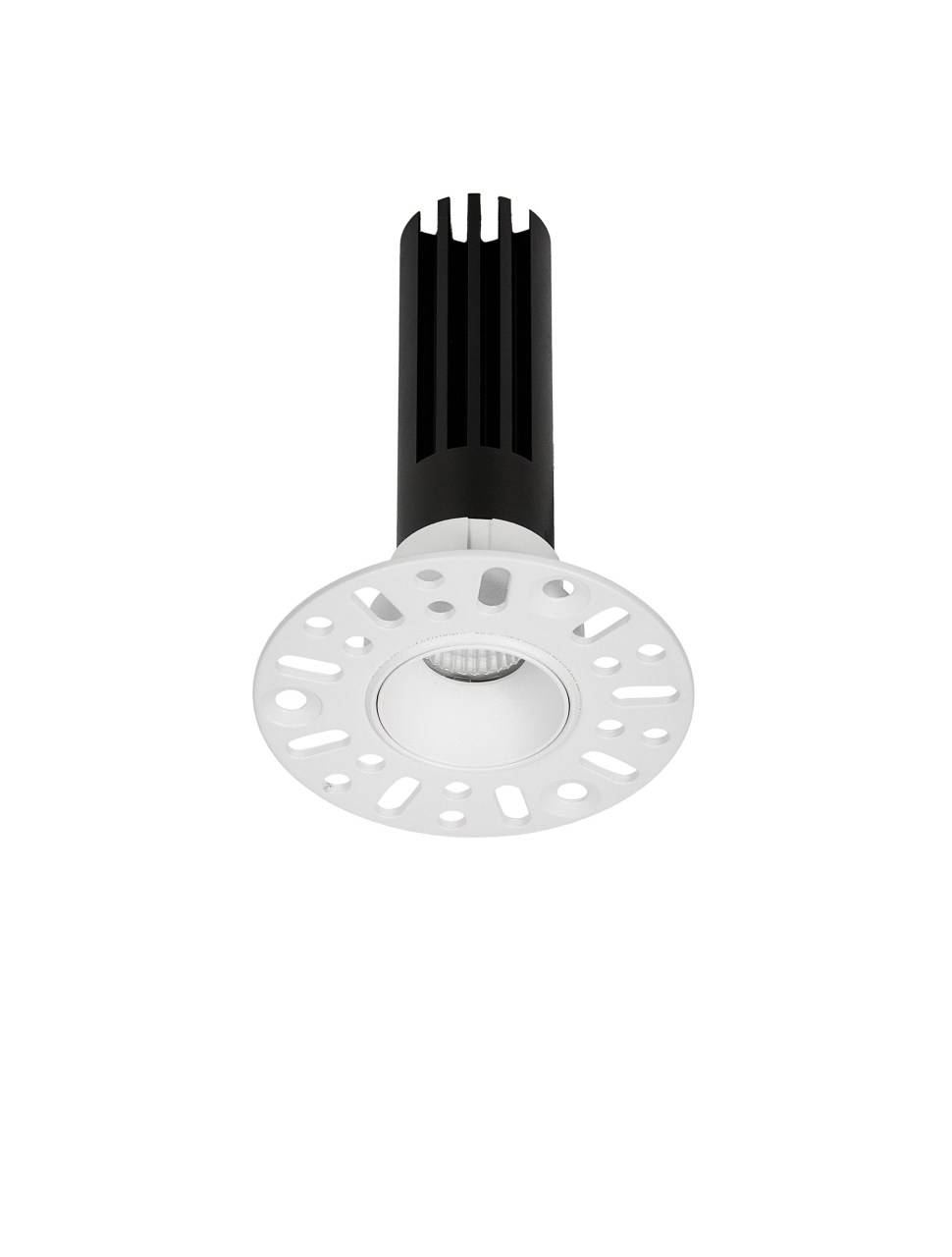 Baculus W30-7W-TL-D6 [2]