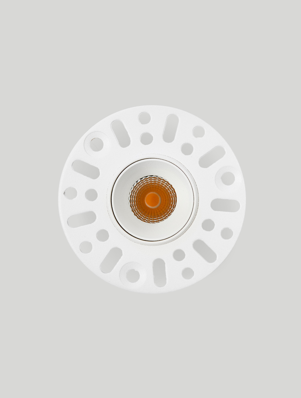 Baculus W30-7W-TL-D6 [3]