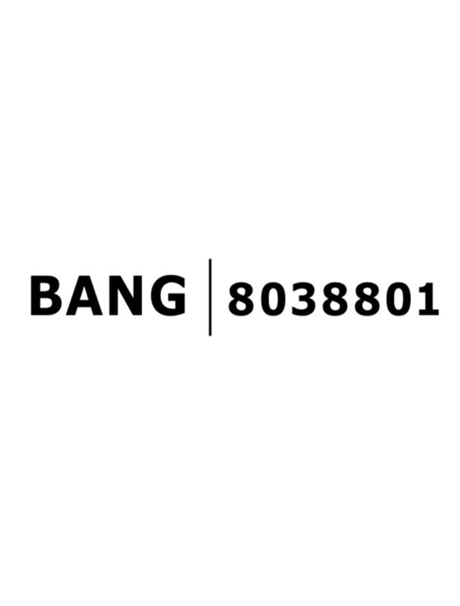 BANG spot incastrat LED 8038801 [5]