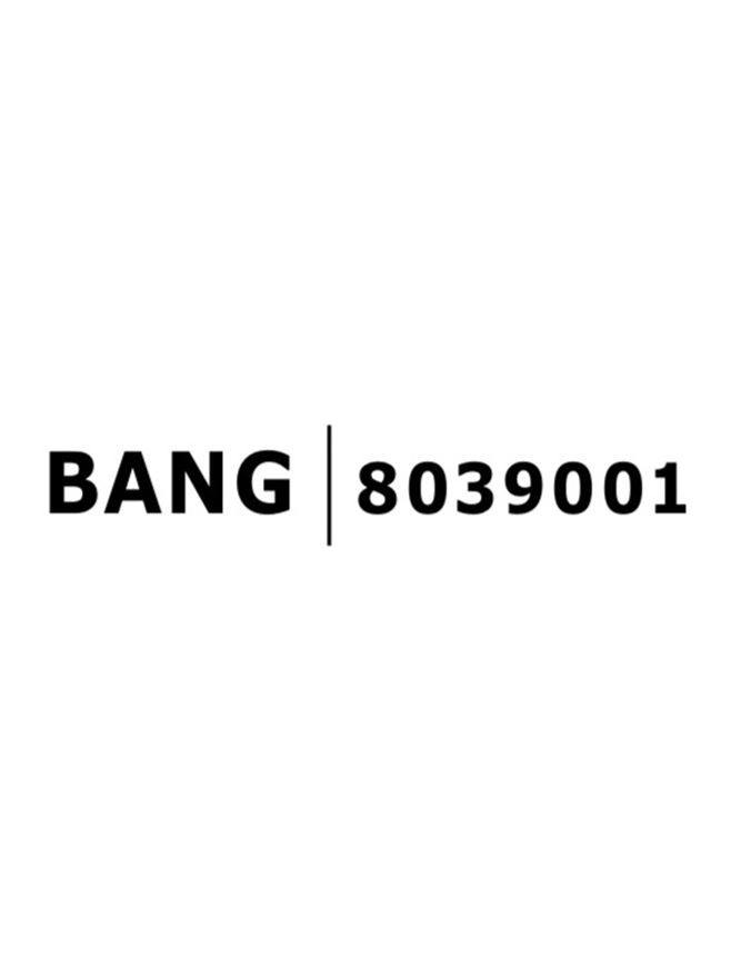 BANG spot incastrat LED 8039001 [3]
