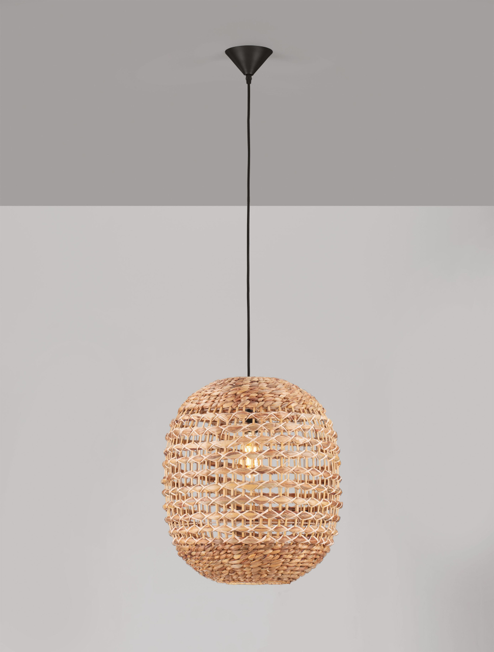 BOLA [4]