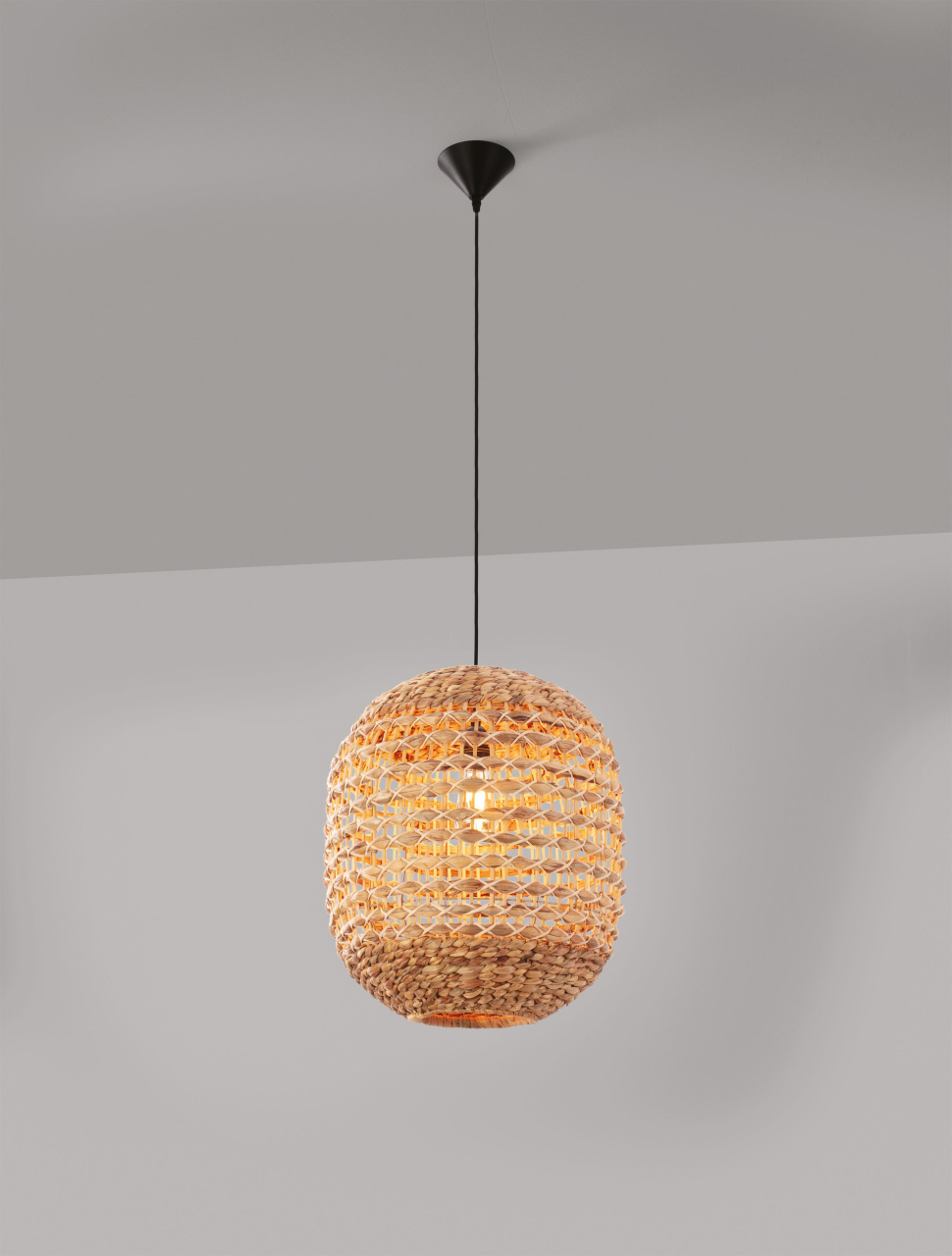 BOLA [3]