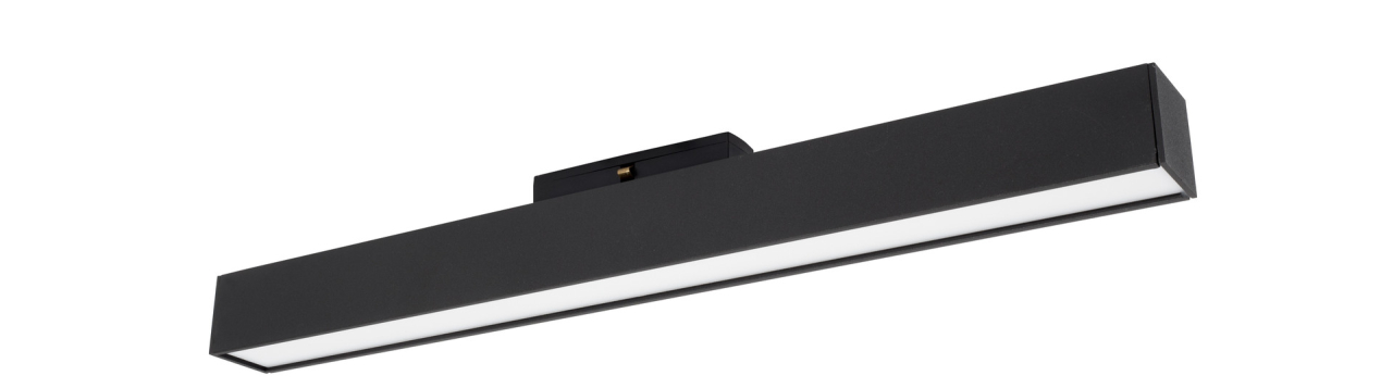 Buxton Magnetic B30-22W-A120-L40.2 [2]