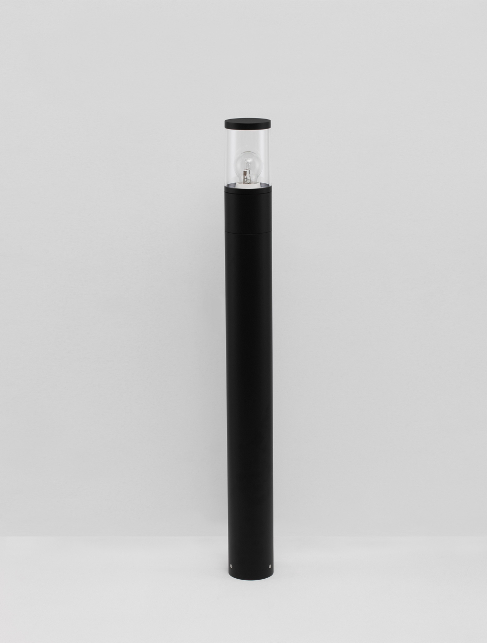 CETERA [3]