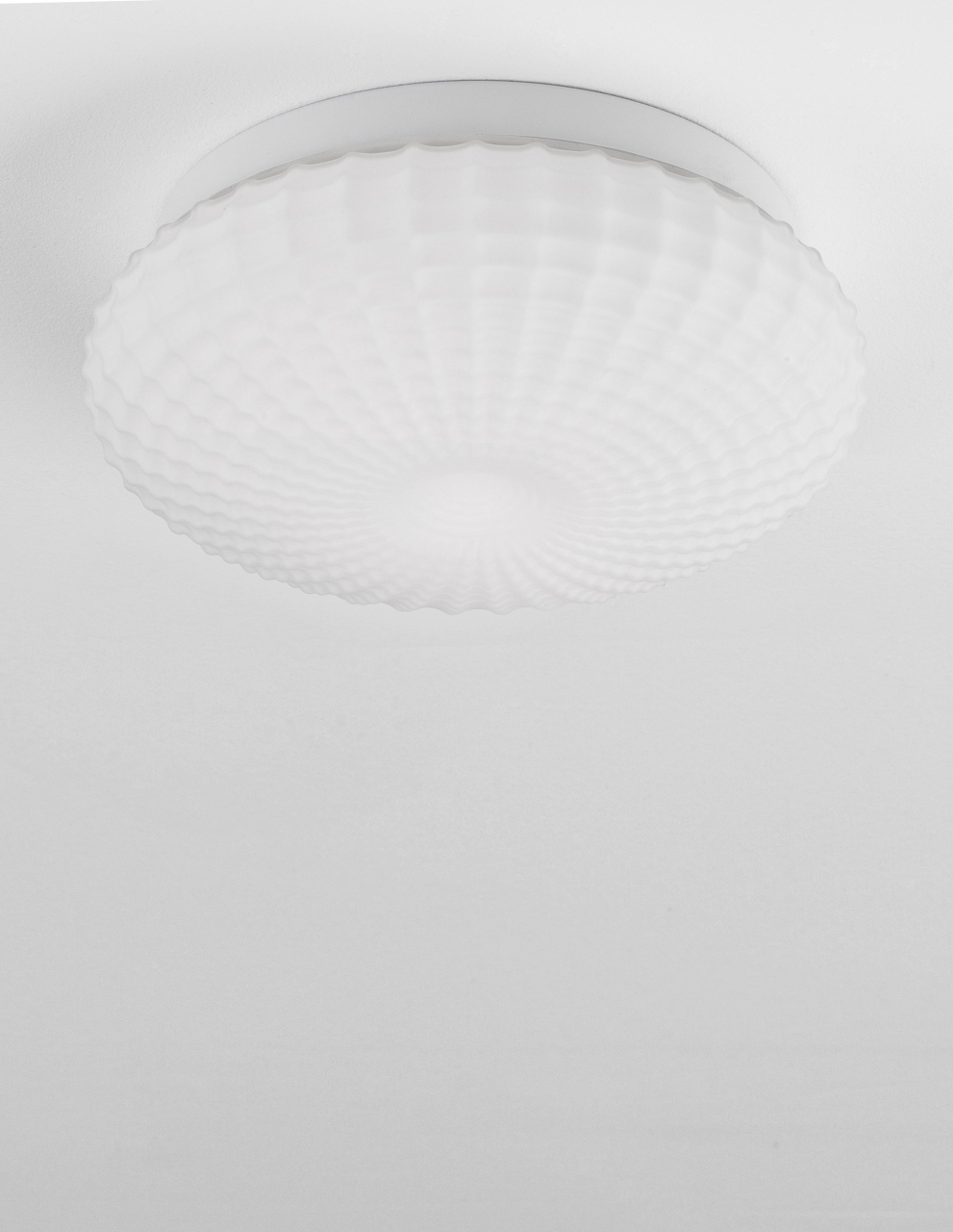 CLAM [3]