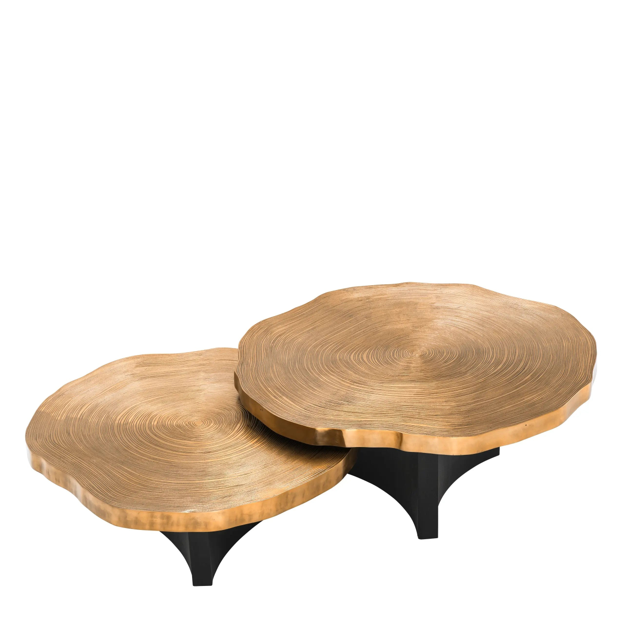 Coffee Table Thousand Oaks Set Of 2 | Eichholtz | Furniture [3]