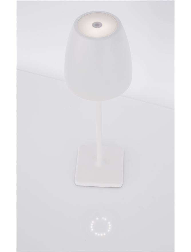 COLT veioza exterior LED 9121911 [5]