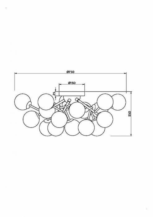Corpuri de iluminat moderne MOD545CL-20BS - Dallas - Maytoni [2]