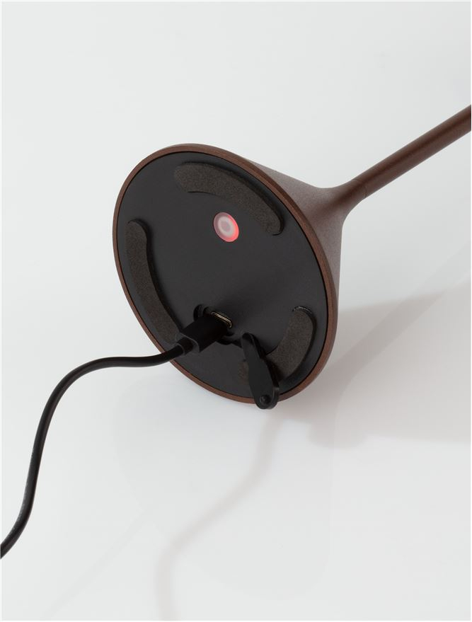DALT veioza exterior LED 9030145 [5]
