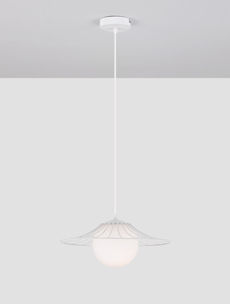 FLY [4]