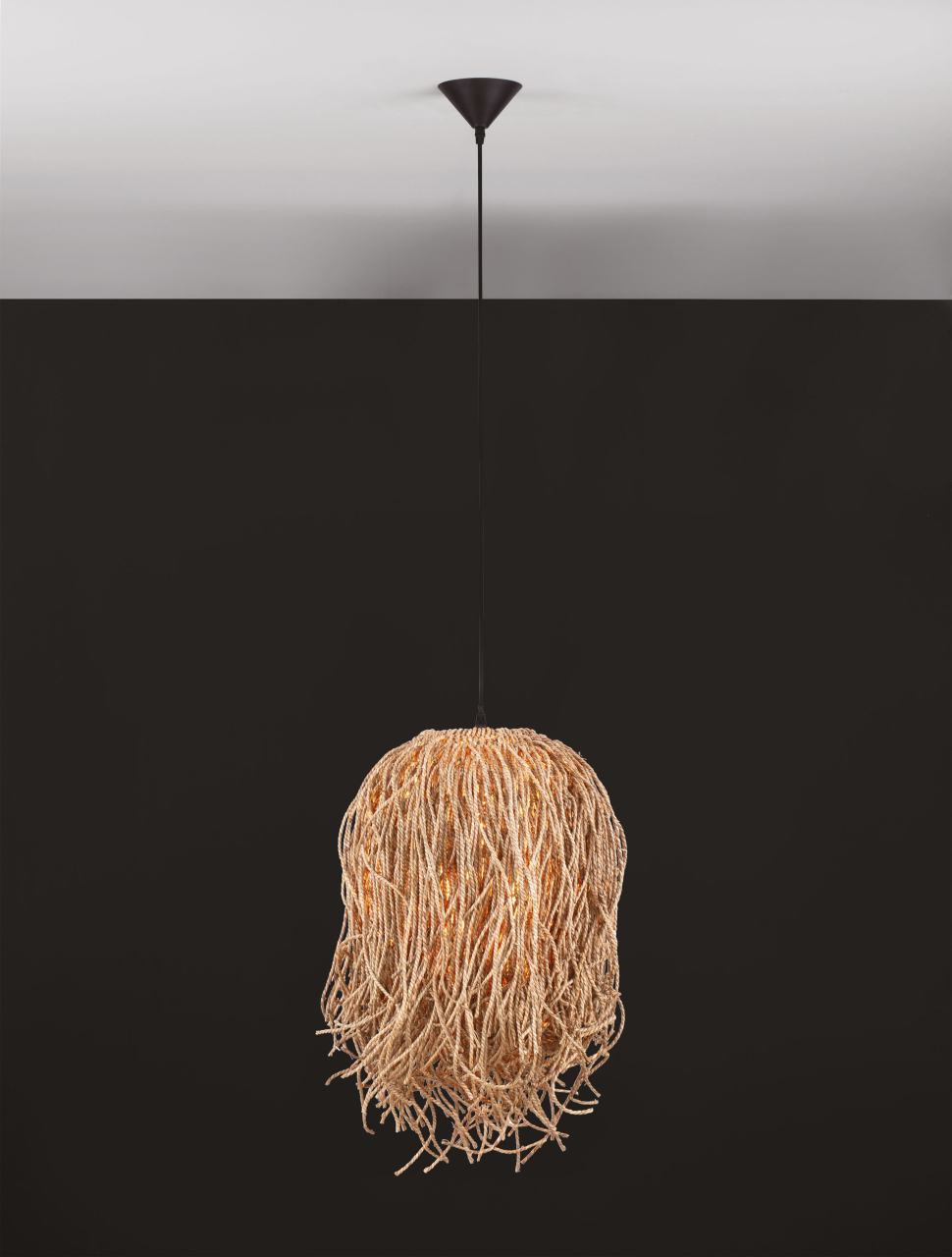 HAY [4]