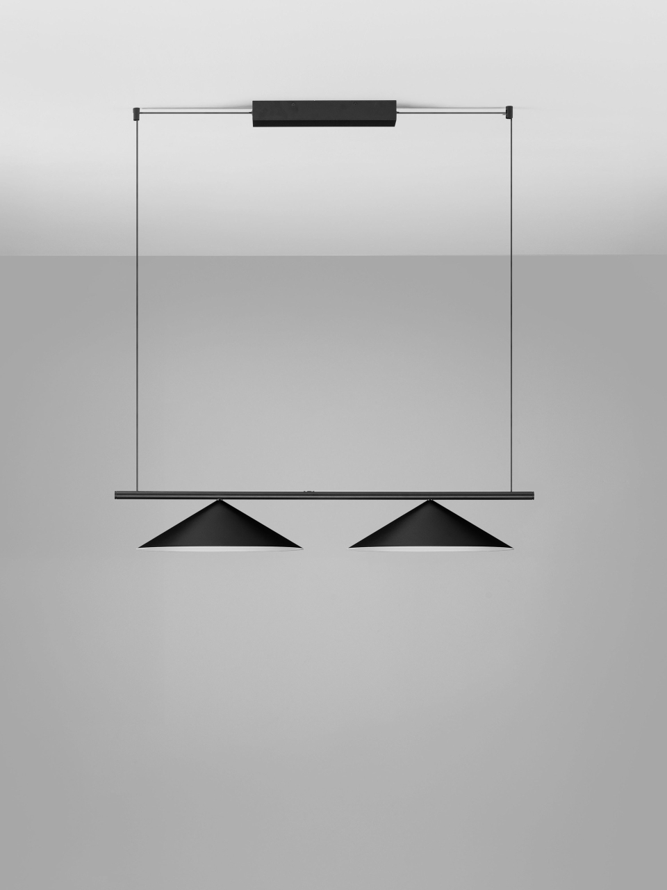 LUI [3]