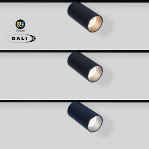 Magnetic track LED spotlight - 48V - 20W - DALI-2 dimmable CCT - Black [1]