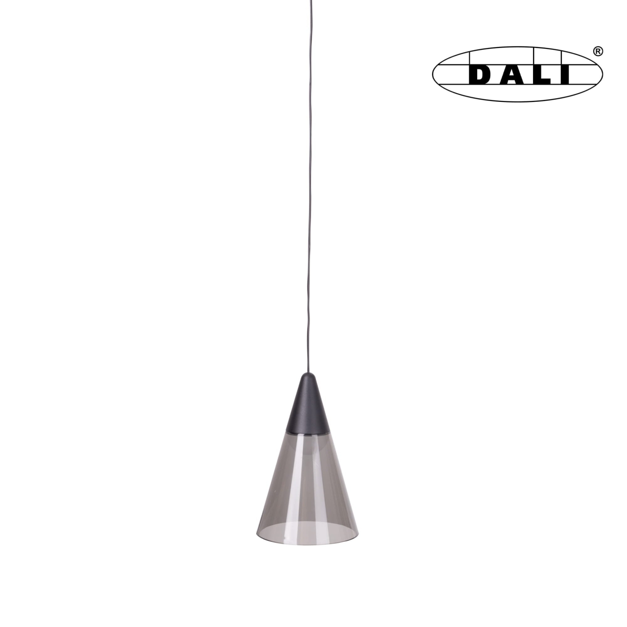 Maxlight M0015D Magnetic Pendant Shade Dali 6W 363LM 3000K [3]