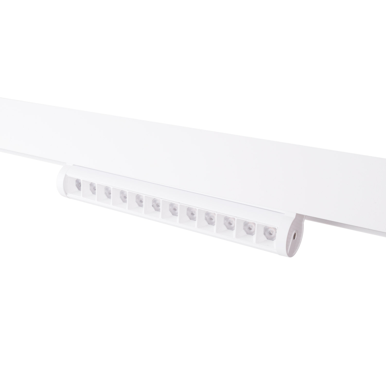 Maxlight M0047N Magnetic Foldable grid On/Off [2]