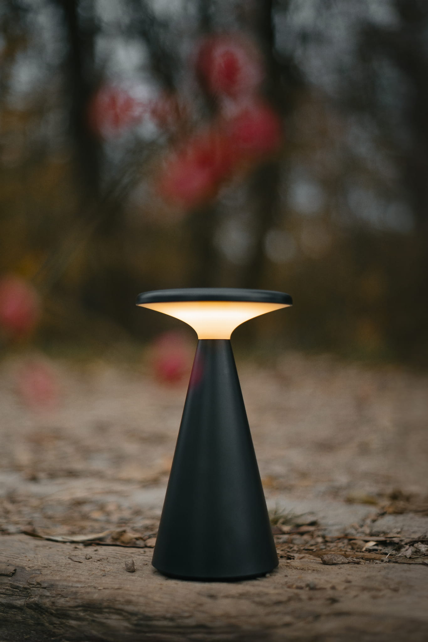 MAXLIGHT T0063 Veioza exterior FUNGHI negru IP44 [7]
