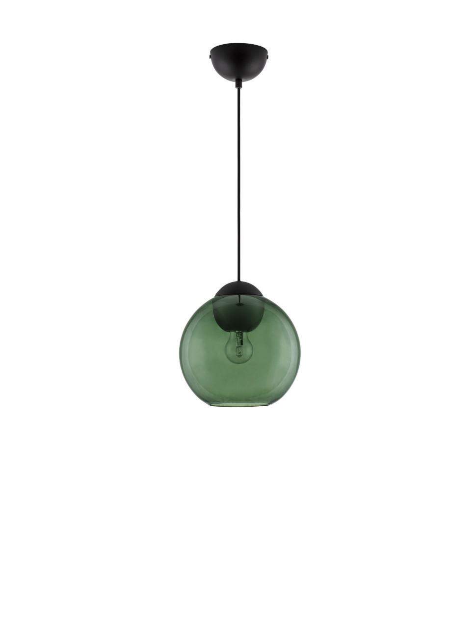 MIDORI [2]