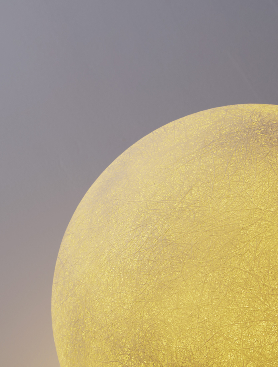 MOON [5]