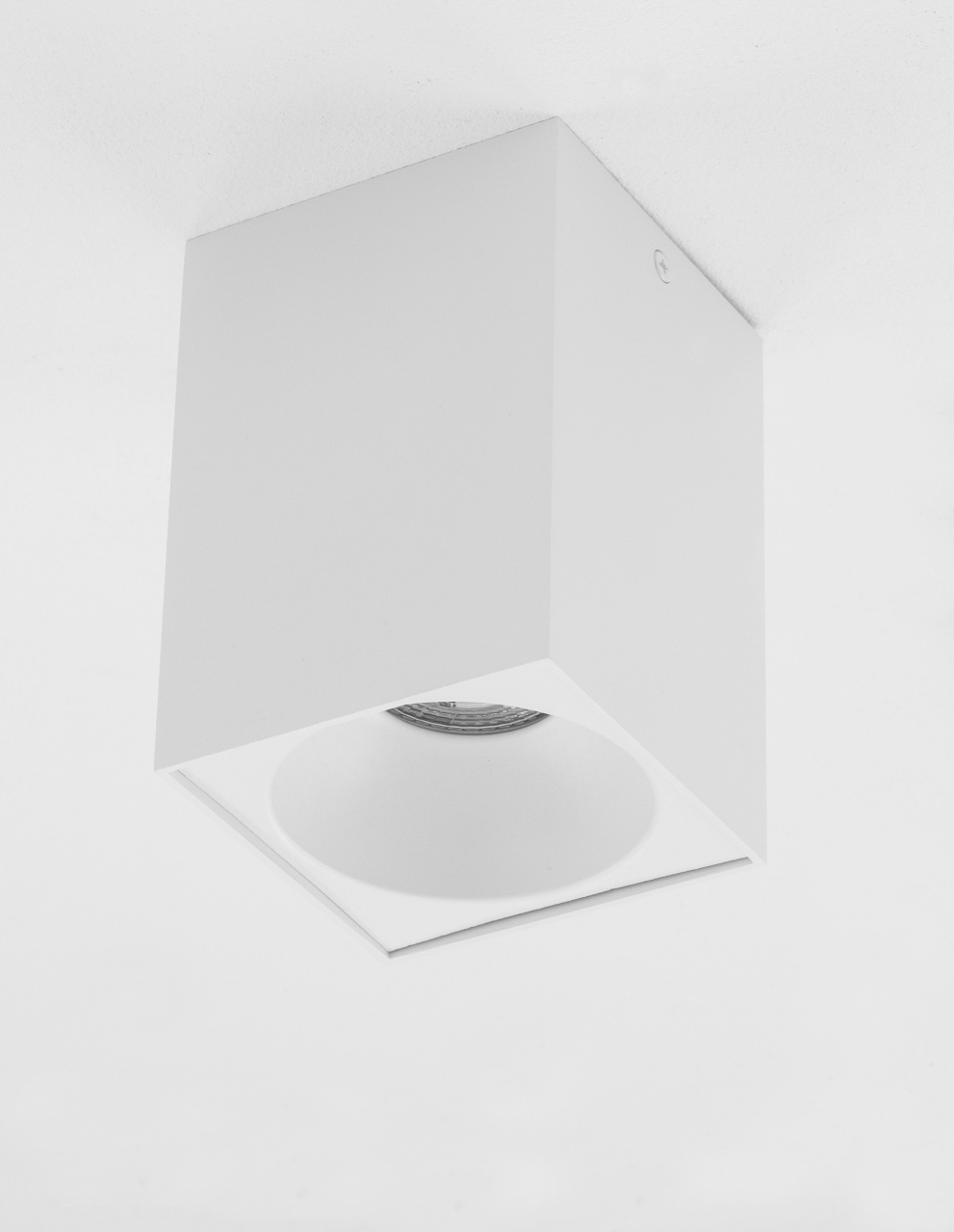 Nido W-SM-D9.5 [3]