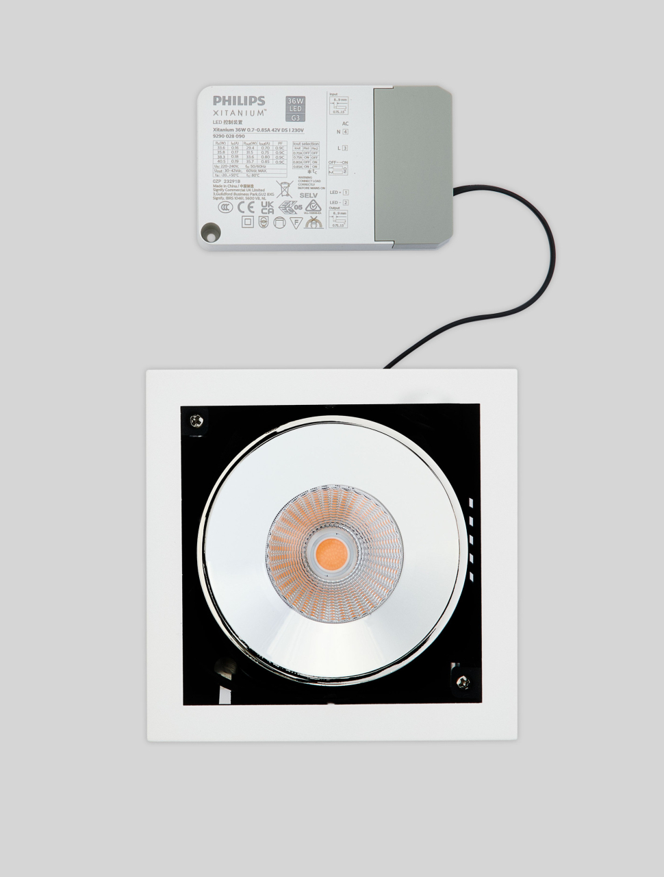 Oblio W30-32W-RC-D14 [3]