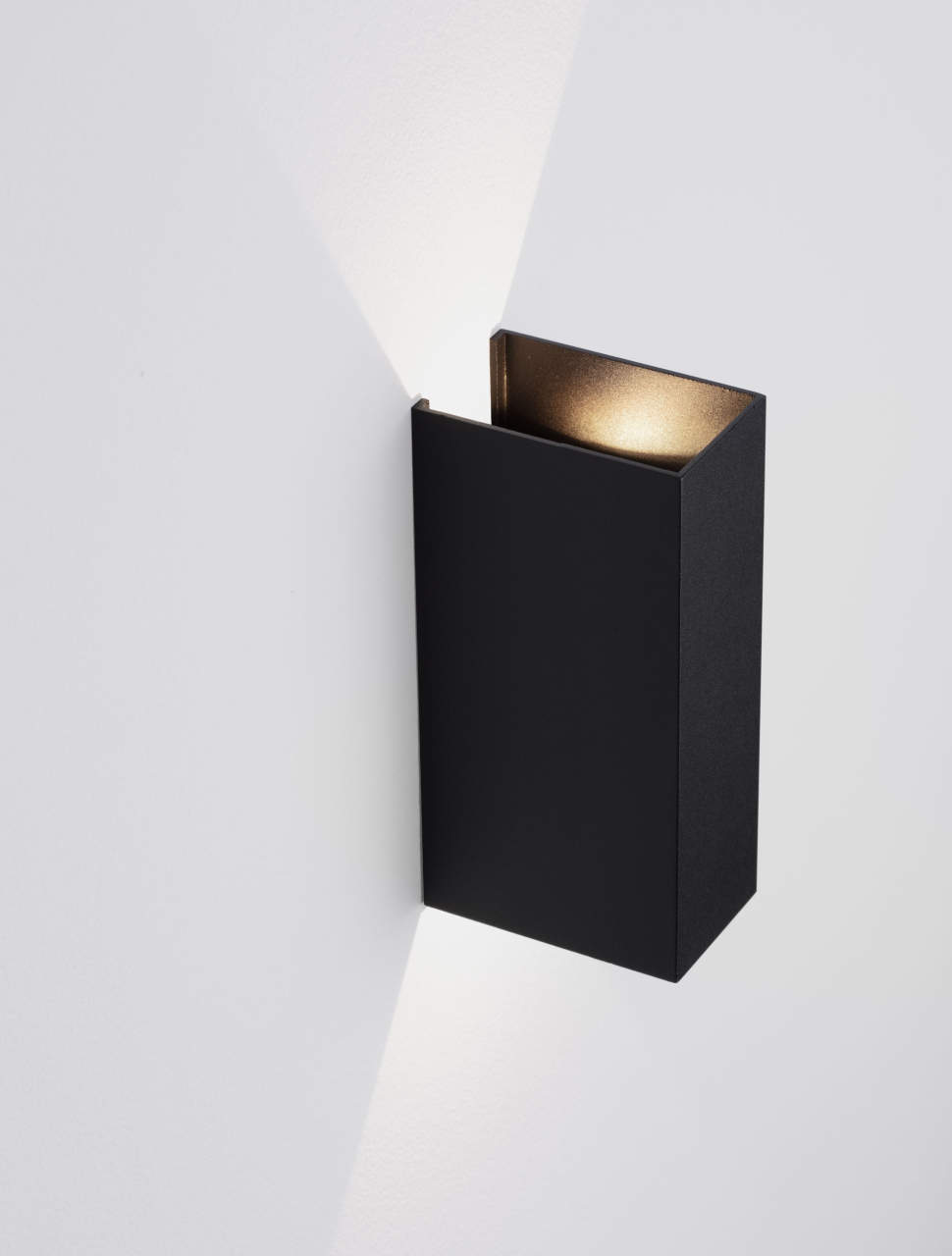 ORION [6]