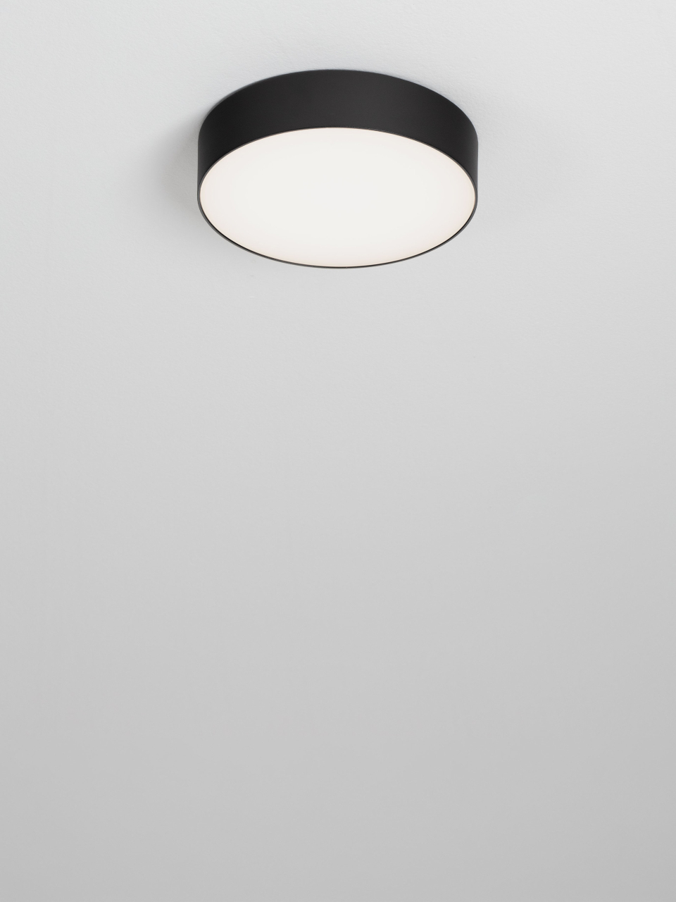 ORLUX [5]