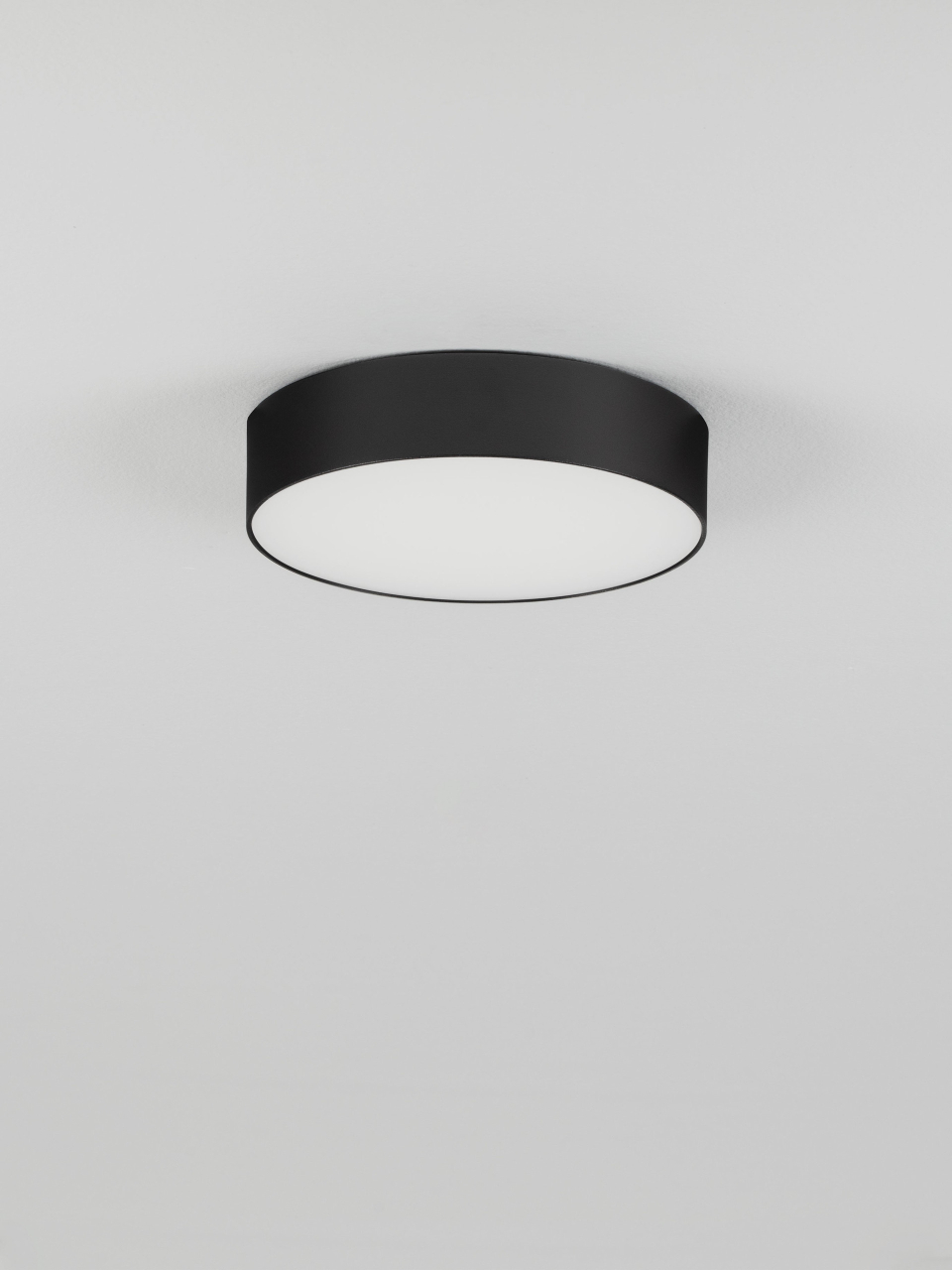 ORLUX [3]