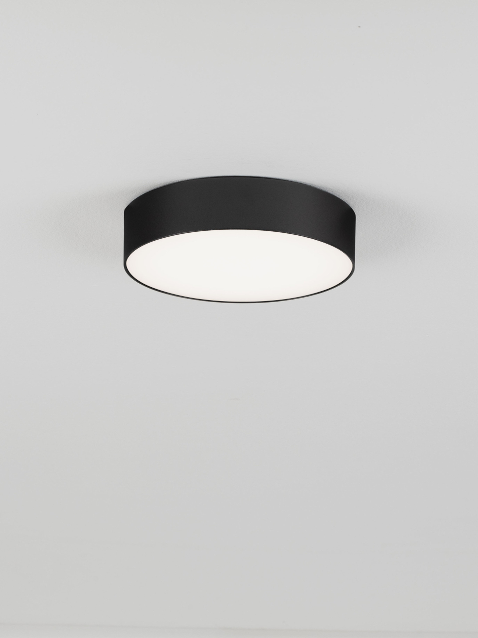 ORLUX [4]