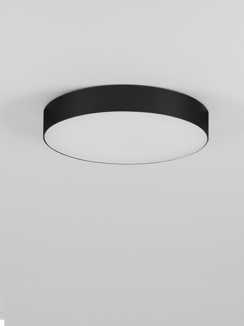 ORLUX [3]