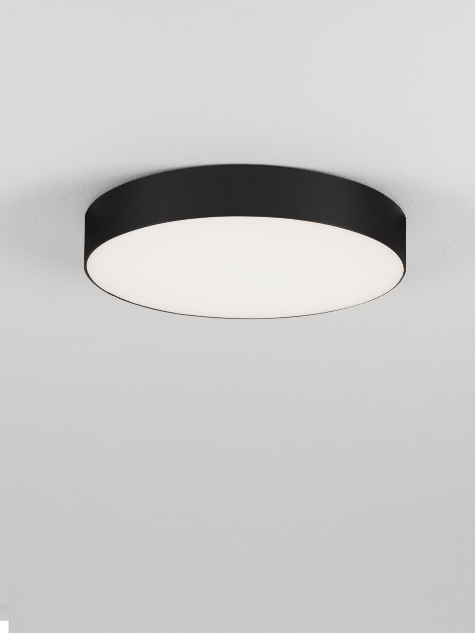 ORLUX [4]