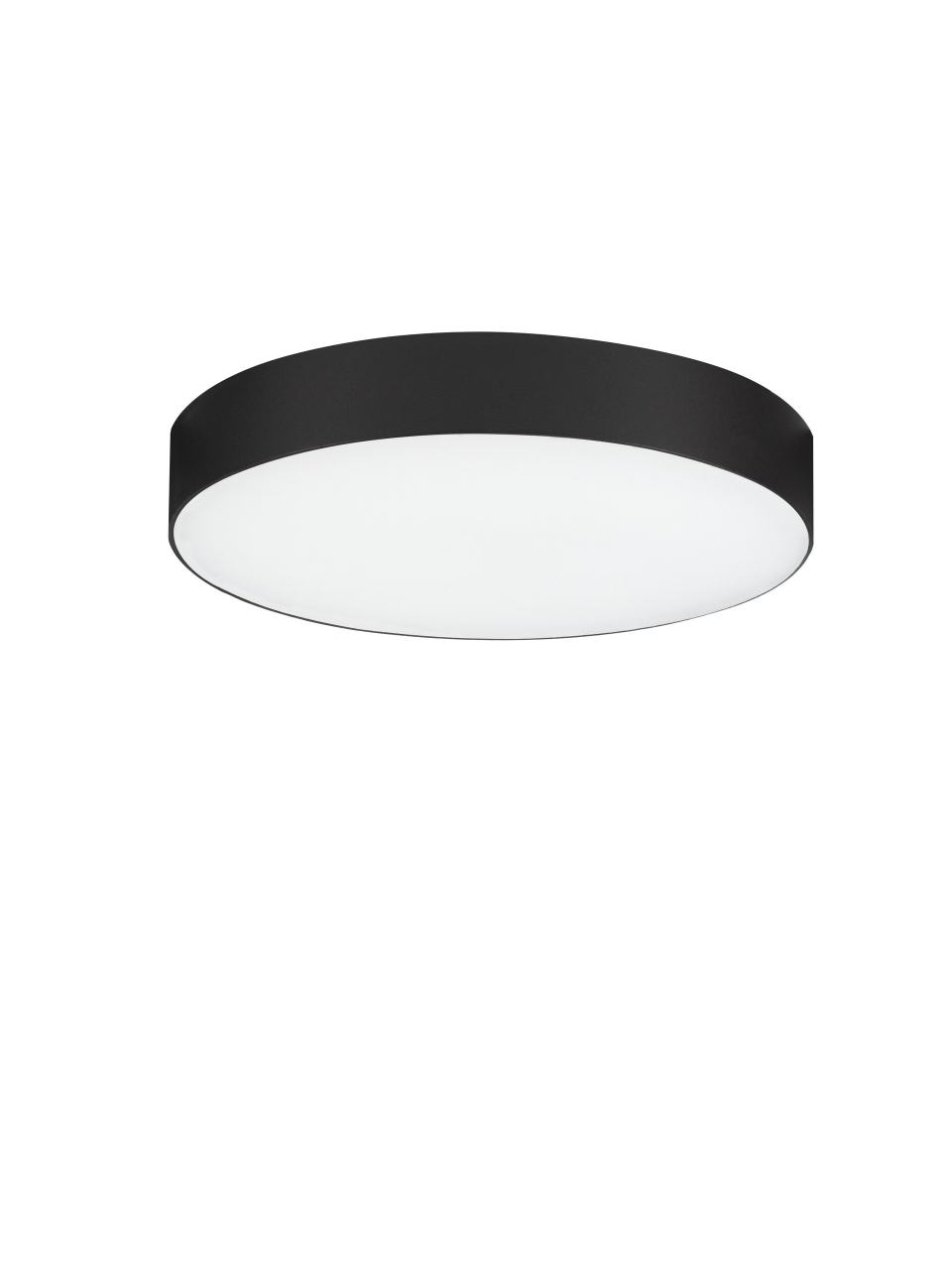 ORLUX [2]