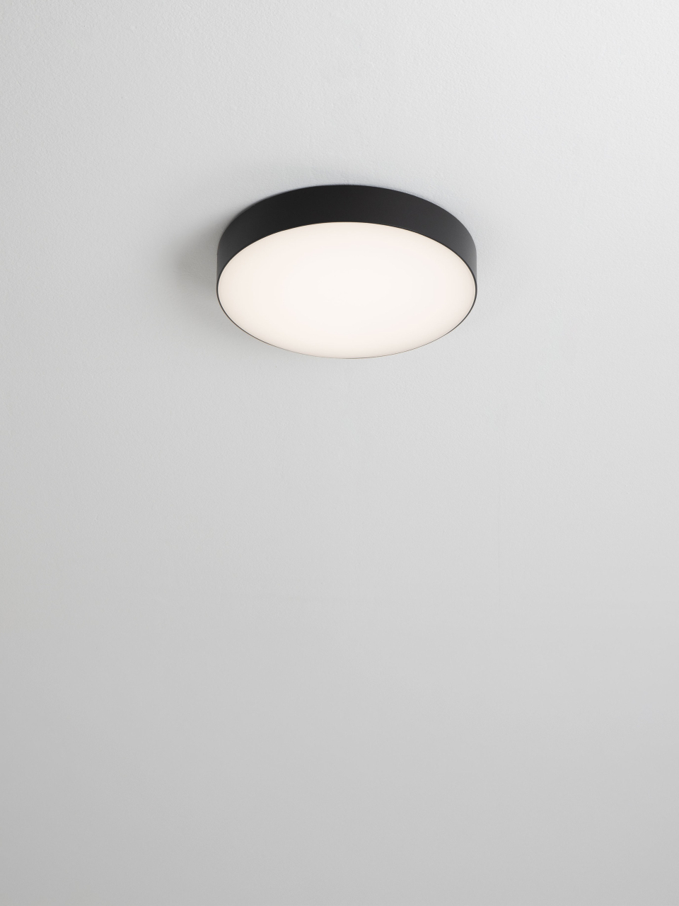 ORLUX [5]