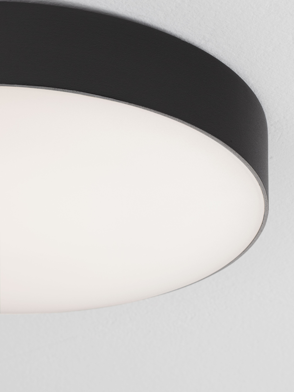 ORLUX [6]