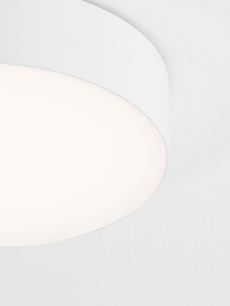 ORLUX [6]