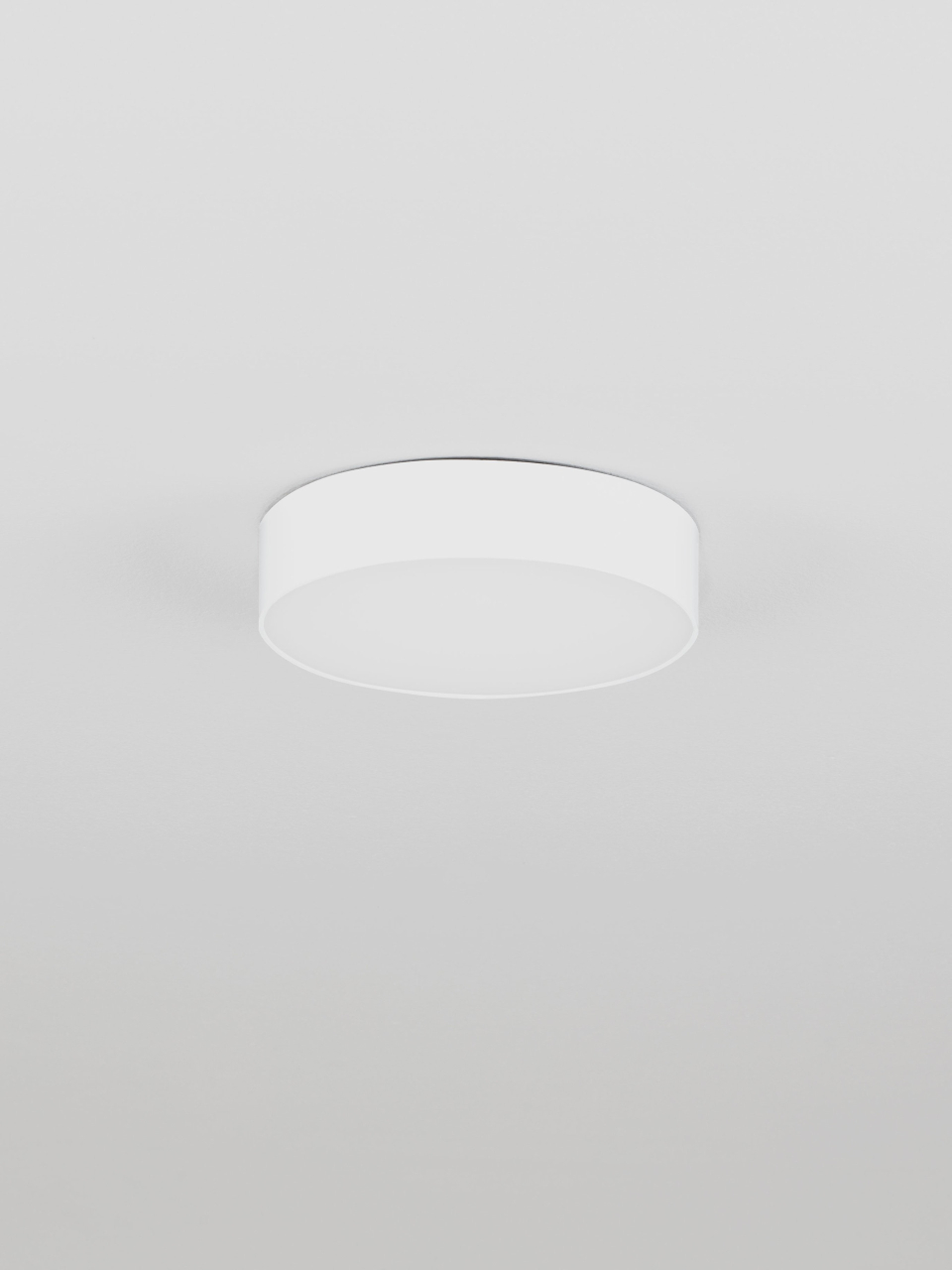ORLUX [3]