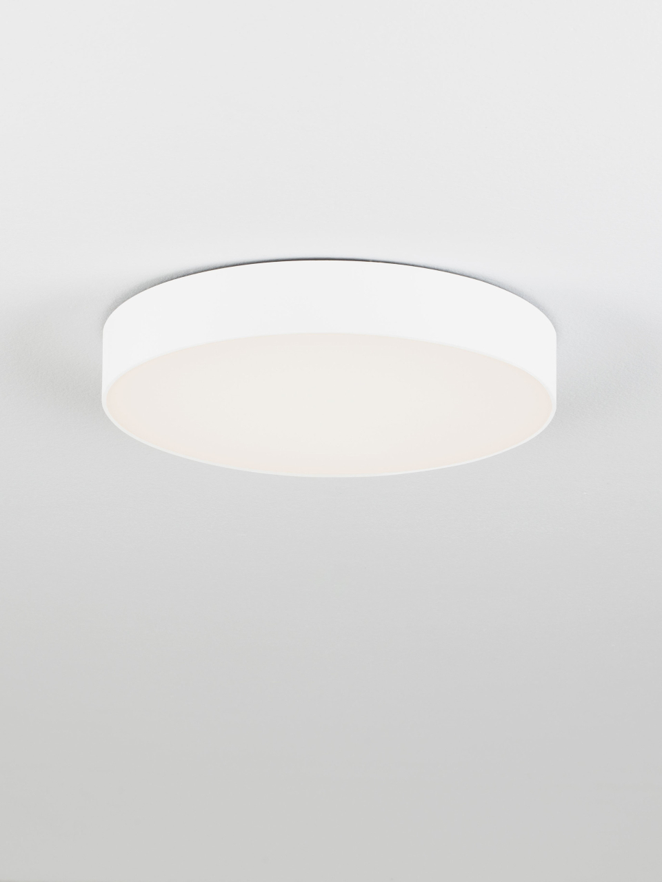 ORLUX [4]