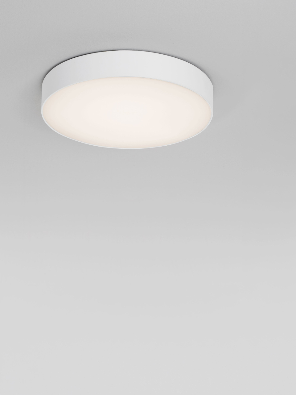 ORLUX [5]