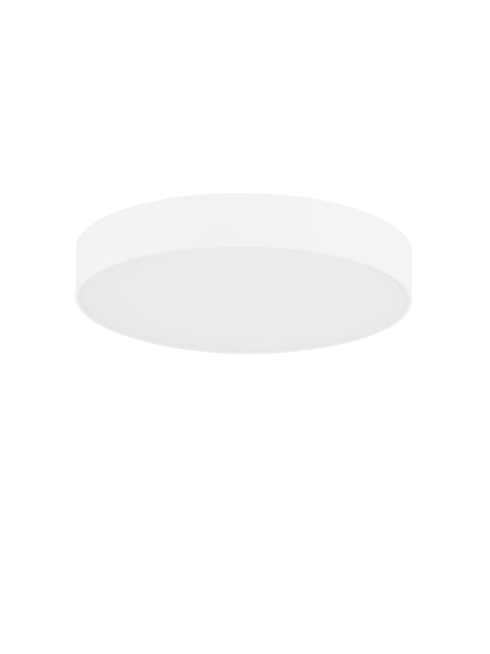 ORLUX [2]