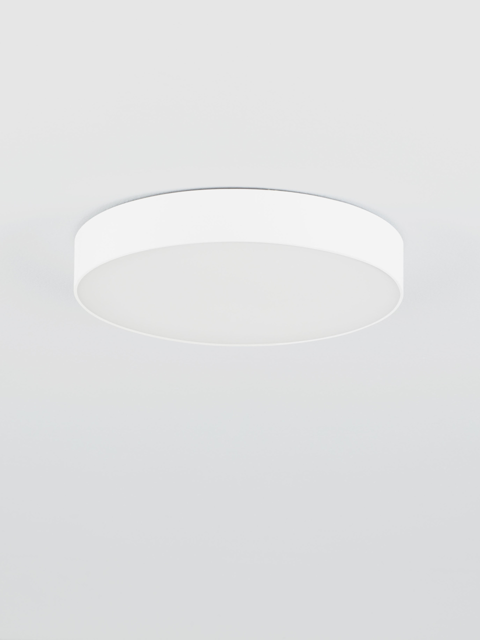 ORLUX [3]