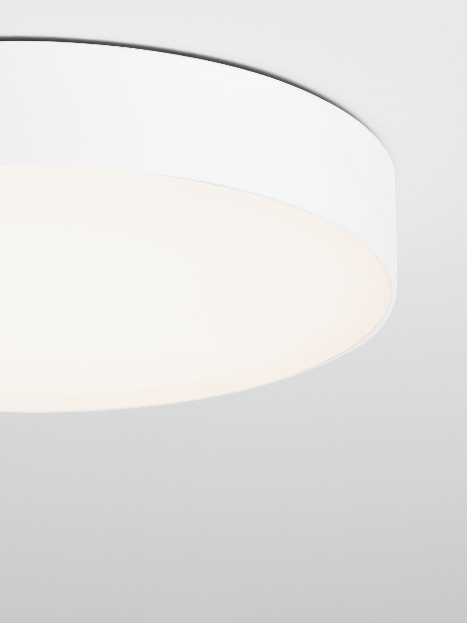 ORLUX [6]