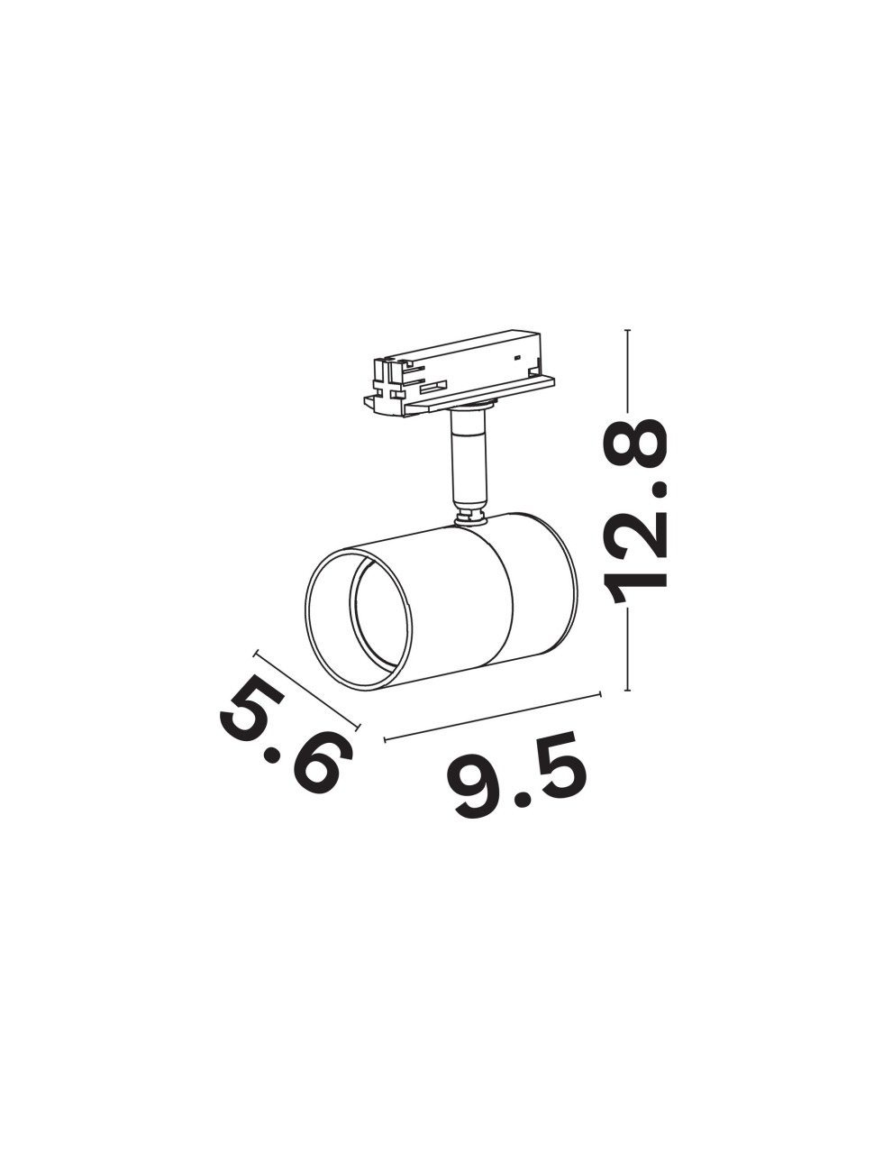 Pongo B-Track-D56 [4]