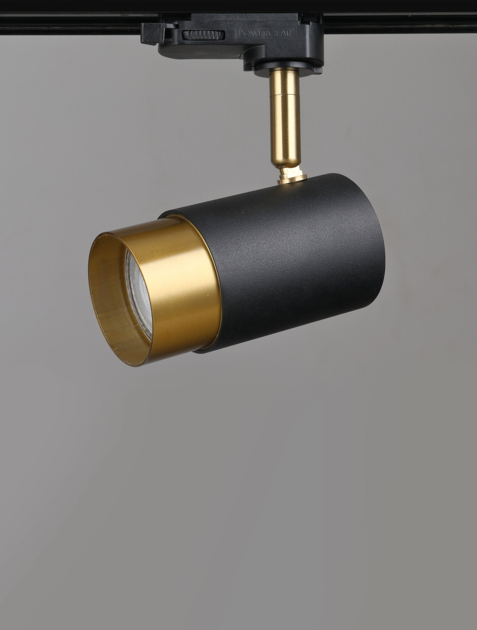 Pongo B-Track-D59 [4]