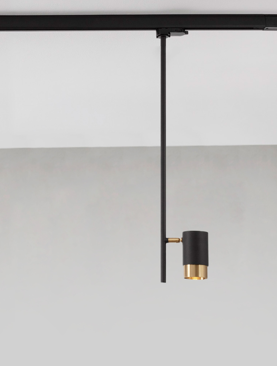 Pongo B-Track-L8 [3]