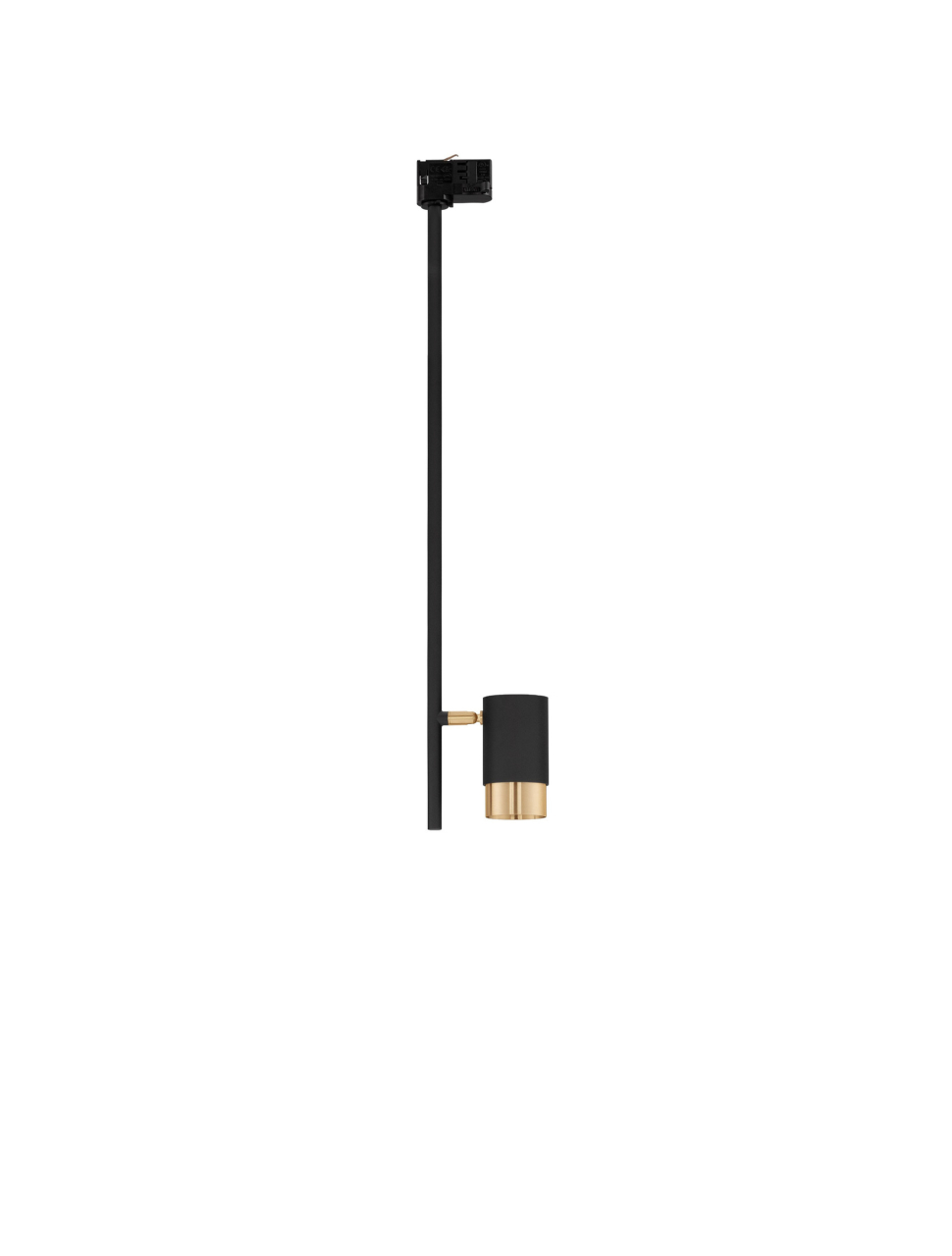 Pongo B-Track-L8 [2]